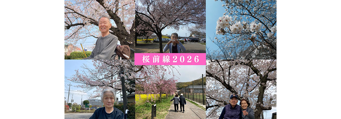 桜前線2026
