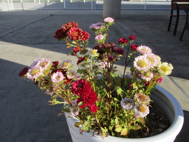 Post Thumbnail