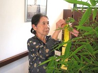 Post Thumbnail